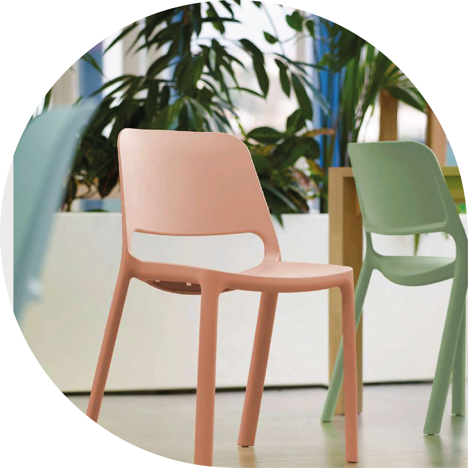 Assises
