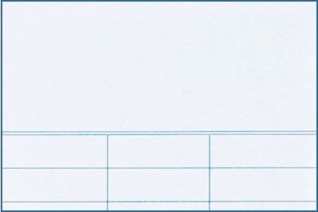 Fiches de prêt Demco® (lot/100)