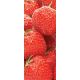 Marque-pages - fraise (lot/100)