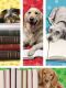 Marque-pages - chiens (lot/200)